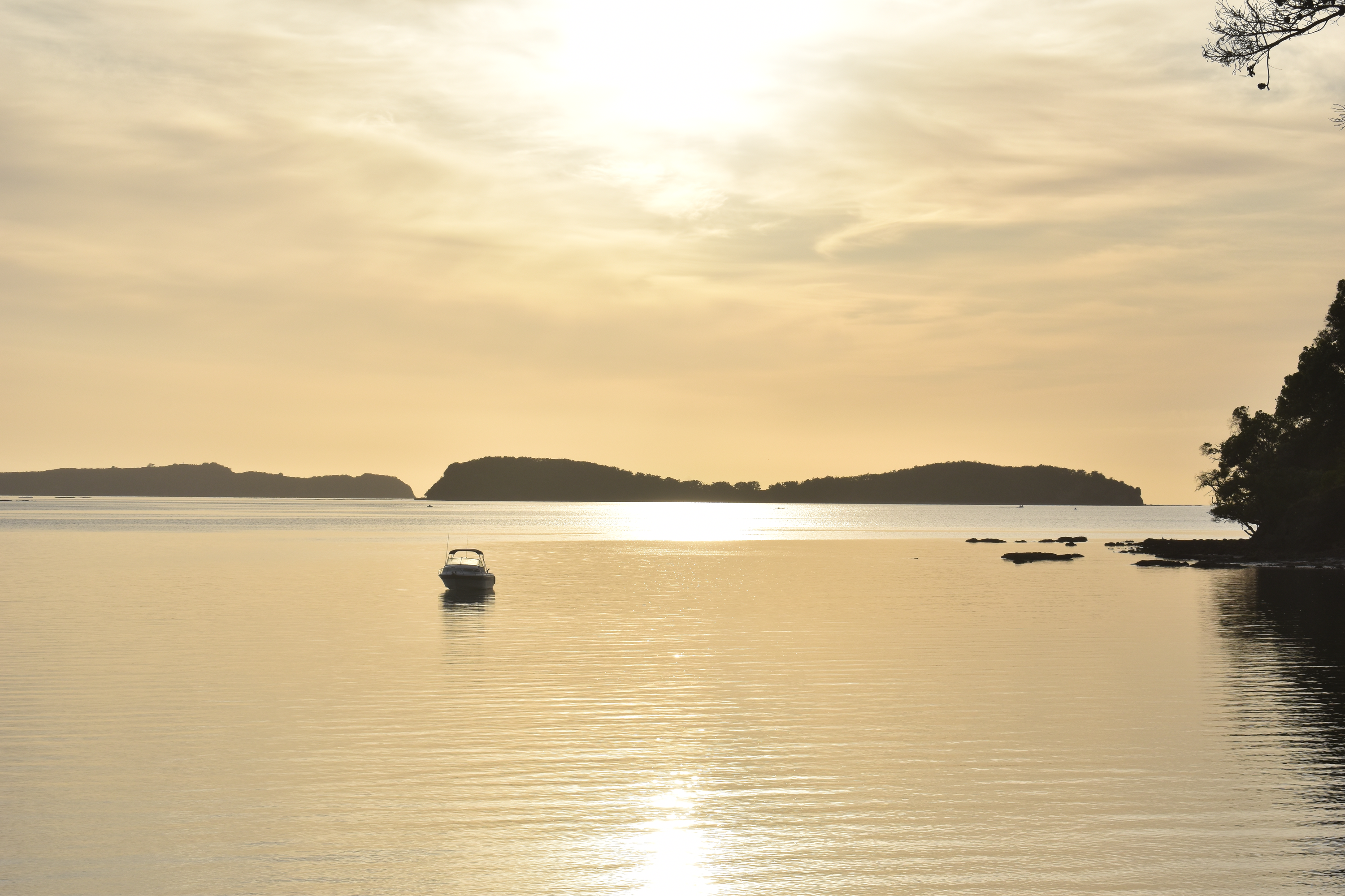 Welcome to Te Moana Mahana